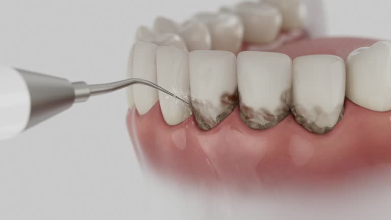 Reliable Dental contractor in Charlotte, MI by Dentist Open Now